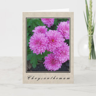 Chrysanthemum - Blommigt Series Kort