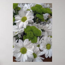 Chrysanthemum-blommor Poster