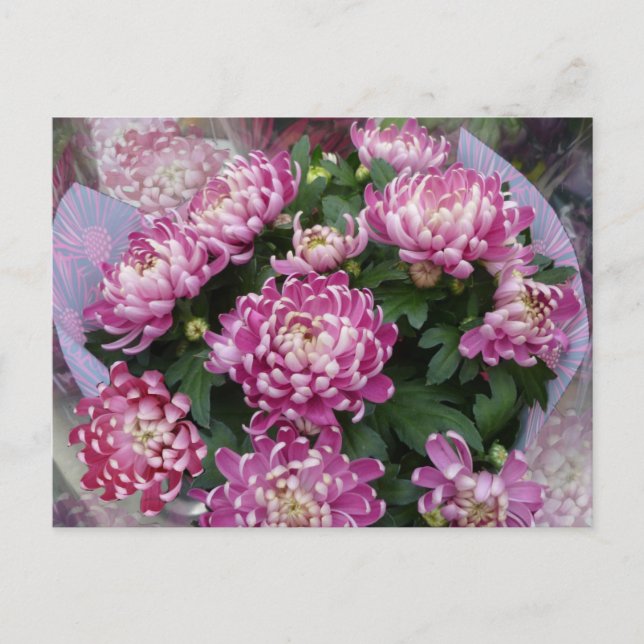 Chrysanthemum Bouquet Vykort (Framsida)