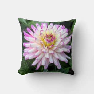 Chrysanthemum, Bute Park, Cardiff, Wales Kudde
