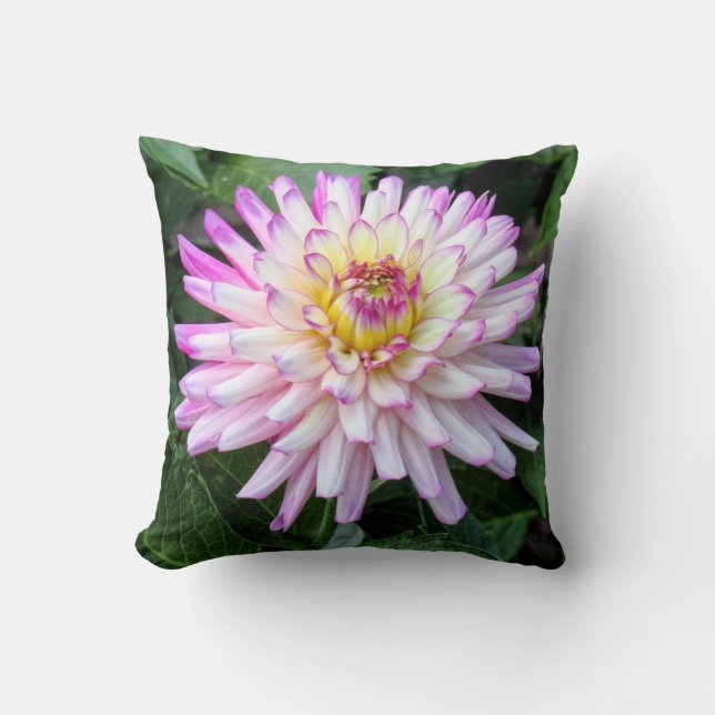 Chrysanthemum, Bute Park, Cardiff, Wales Kudde (Framsida)