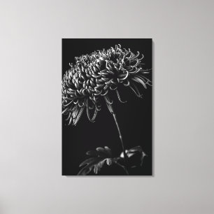 Chrysanthemum Canvastryck