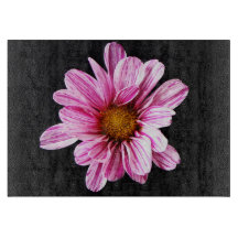 Chrysanthemum Flower cbcnm