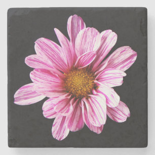 Chrysanthemum Flower Coercna Stenunderlägg