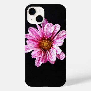 Chrysanthemum Flower ipha