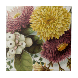 Chrysanthemum Flower Morsa Blommigt Kakelplatta