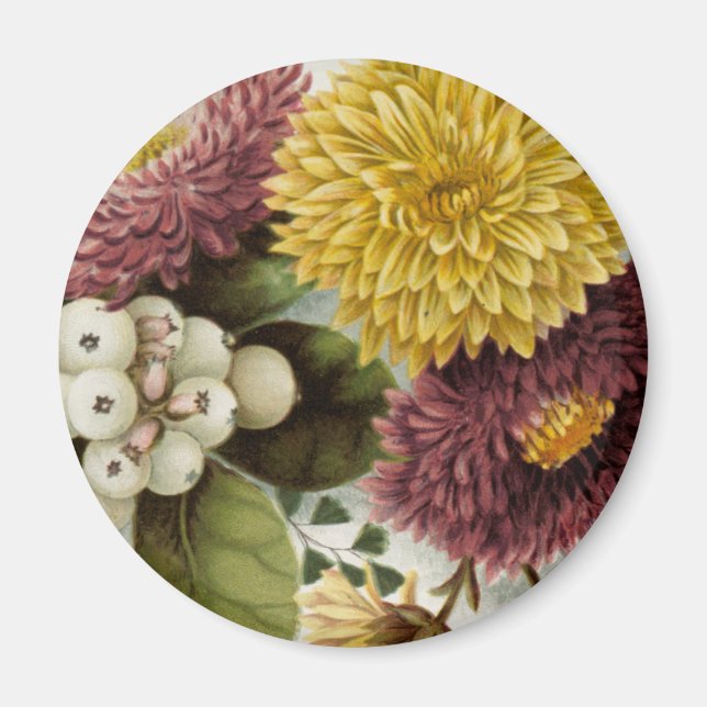 Chrysanthemum Flower Morsa Blommigt Magnet (Framsidan)