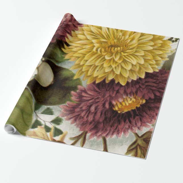 Chrysanthemum Flower Morsa Blommigt Presentpapper (Utrullad)