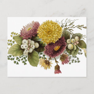 Chrysanthemum Flower Morsa Blommigt Vykort