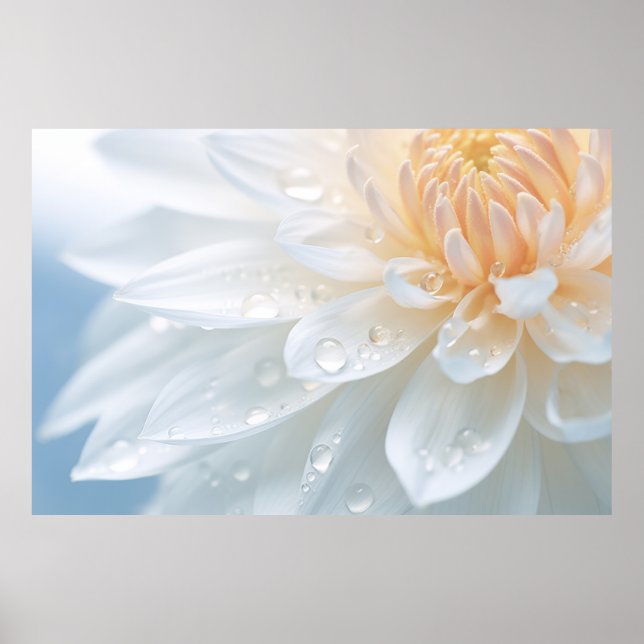 Chrysanthemum Flower Petal Nature Serene Poster (Framsidan)