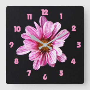 Chrysanthemum Flower Rosa Tjock Numbers wccn Fyrkantig Klocka
