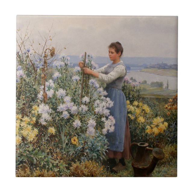 Chrysanthemum Flowers (flicka i trädgården) Kakelplatta (Framsidan)