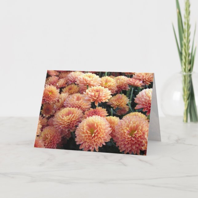 Chrysanthemum Greeting Card Kort (Framsida)