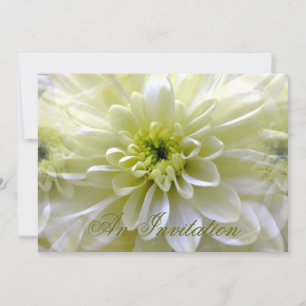 CHRYSANTHEMUM INBJUDNINGAR
