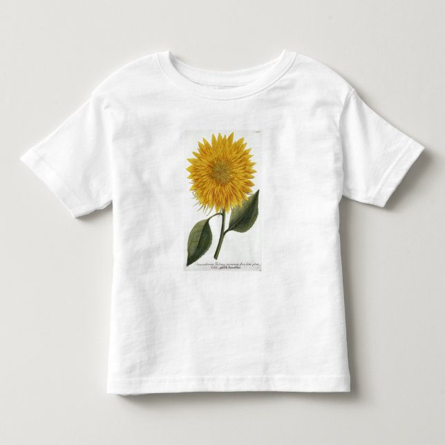Chrysanthemum Indicum från 'Pythanthoza Iconograph Tee Shirt (Framsida)