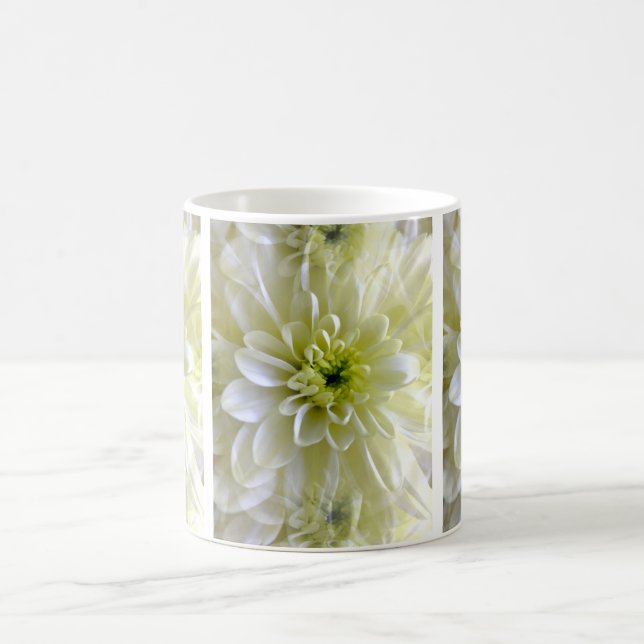 CHRYSANTHEMUM KAFFEMUGG (Center)