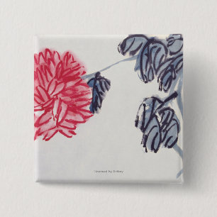 Chrysanthemum Knapp