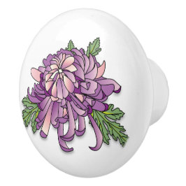 Chrysanthemum Knopp
