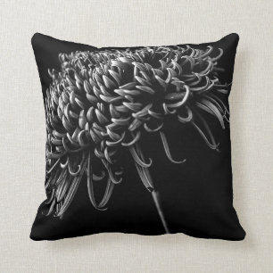 Chrysanthemum Kudde