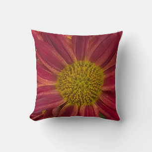Chrysanthemum Kudde