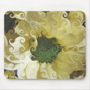 CHRYSANTHEMUM MUSMATTA