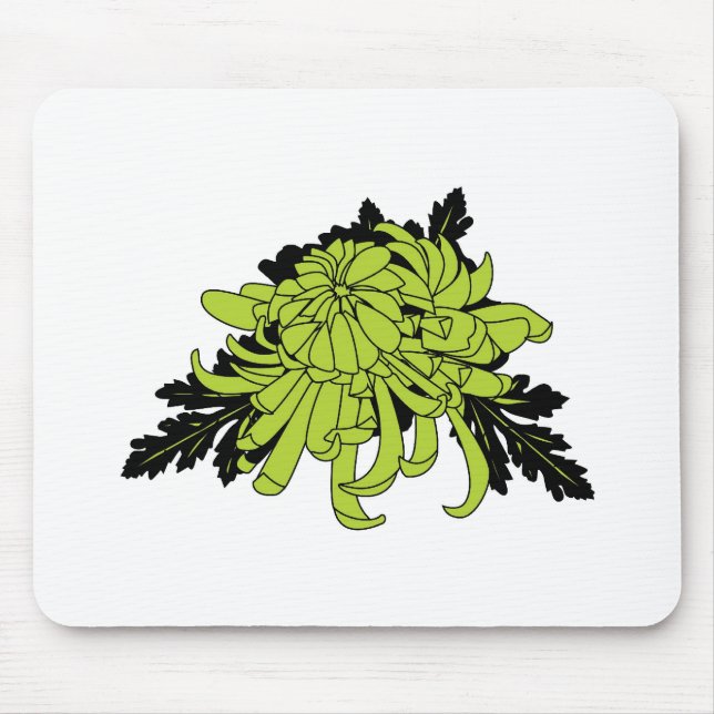 Chrysanthemum Musmatta (Framsidan)