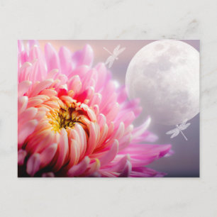 Chrysanthemum och Måne Vykort