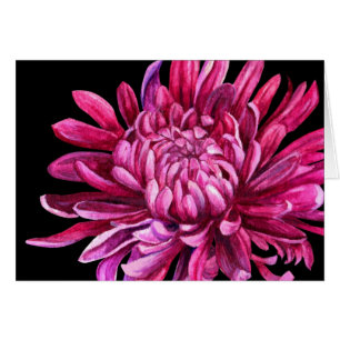 Chrysanthemum "öppningen", dagskort hälsningskort
