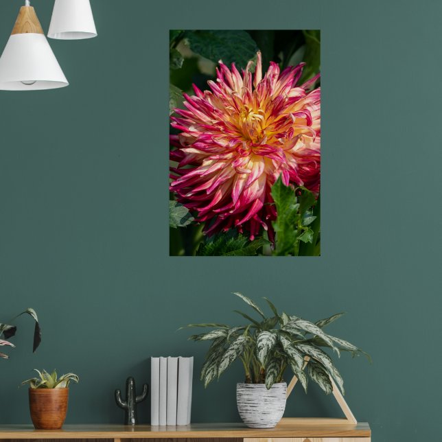 Chrysanthemum Orange Canadian Blomsterfotografi Poster (Vardagsrum 1)