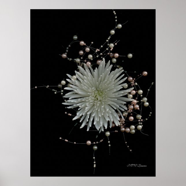 Chrysanthemum & Pearls Poster (Framsidan)