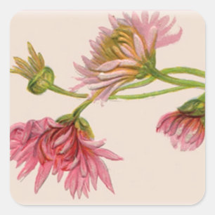 Chrysanthemum - Sticker Fyrkantigt Klistermärke