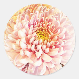 Chrysanthemum Stickers/Kuvert Seals Runt Klistermärke