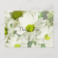 Chrysanthemum Tack