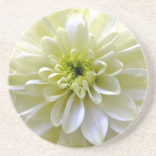 CHRYSANTHEMUM UNDERLÄGG
