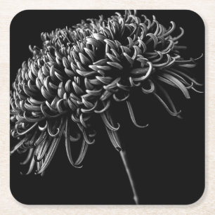 Chrysanthemum Underlägg Papper Kvadrat