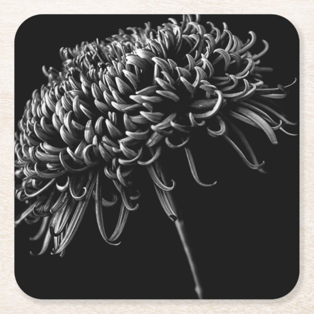 Chrysanthemum Underlägg Papper Kvadrat (Framsidan)