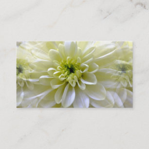 CHRYSANTHEMUM VISITKORT
