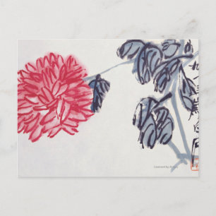 Chrysanthemum Vykort