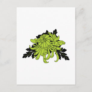 Chrysanthemum Vykort