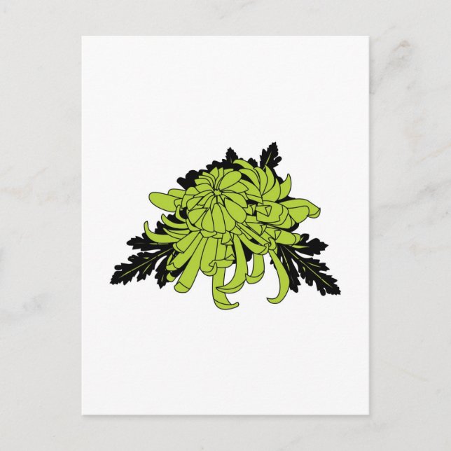 Chrysanthemum Vykort (Framsida)