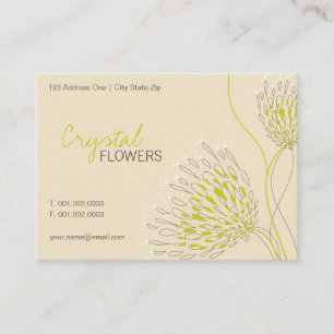 Chrysanthemumen blommar den eleganta blom- visitkort