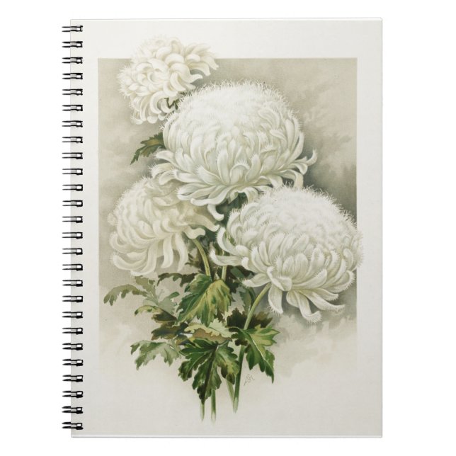 Chrysanthemums - Elegant Vintage botanik Anteckningsbok (Framsidan)