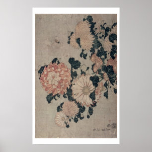 Chrysanthemums (färgträkloss) poster