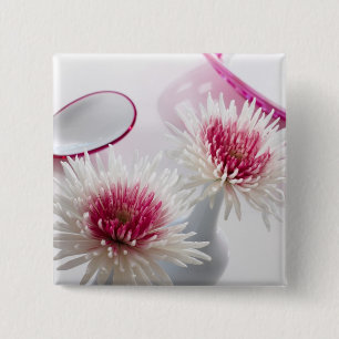 Chrysanthemums Knapp