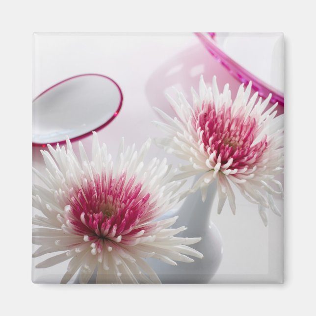 Chrysanthemums Magnet (Framsidan)