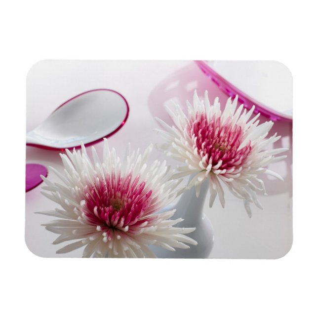 Chrysanthemums Magnet (Horisontell)