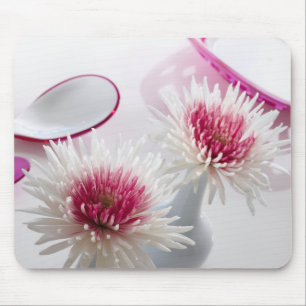 Chrysanthemums Musmatta