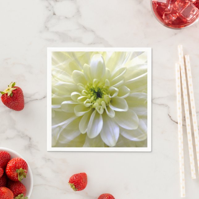 CHRYSANTHEMUMS PAPPERSSERVETT (Insitu)