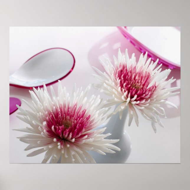 Chrysanthemums Poster (Framsidan)