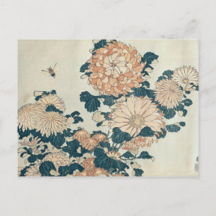 Chrysanthemums Vykort